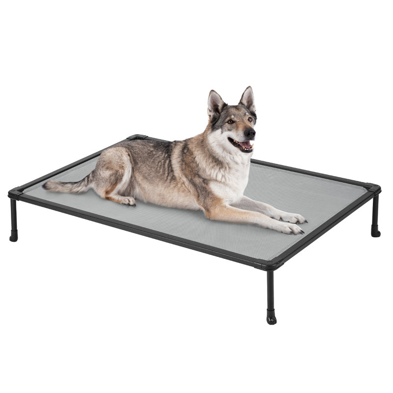 Tucker Murphy Pet Tucker Murphy Elevated Bed Chewproof Cooling Raised Dog Cots Beds Outdoor Metal Frame Pet Training Platform Wayfair Dog Beds Mats